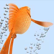 Thirsty Fish